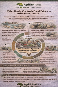 food-prices-in-african-markets-agrilink-africa-think-tank.png