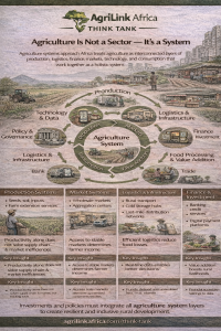 Infographic explaining the agriculture system approach in Africa showing connections between farmers, logistics, markets, cold chain infrastructure, and digital platforms across the agricultural value chain.